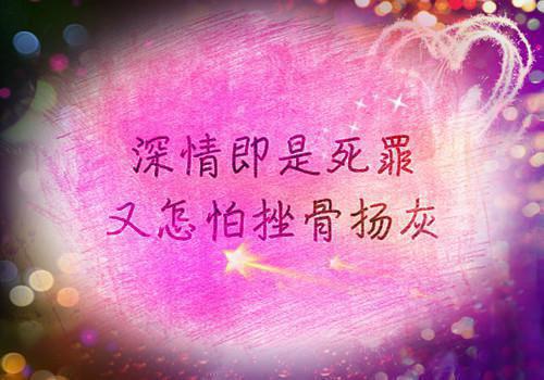 会计的社会实践报告