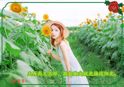 你的花园里