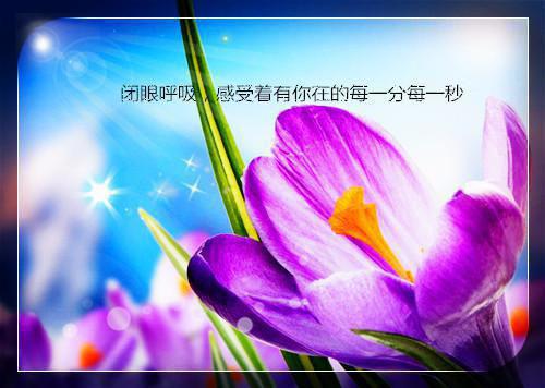计算机系大学生求职自荐信范文