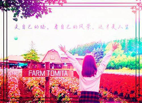 关于对xx小学义务教育学校标准化建设督导评估报告