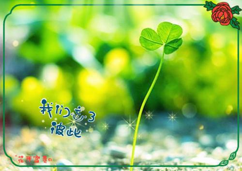 暑假大学生支教总结