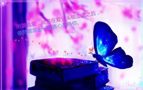 给实习单位的感谢信范文