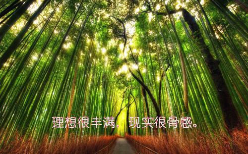 公司致员工的节日慰问信范文