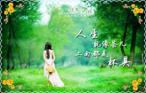 企业管理精英求职信