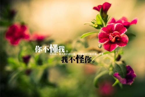 人生感悟经典哲理语句选集