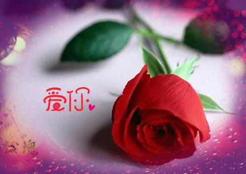 it个人年度工作总结范文