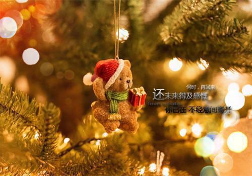 小学视导的自查报告范文