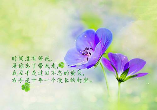 个人暑期支教社会实践范文