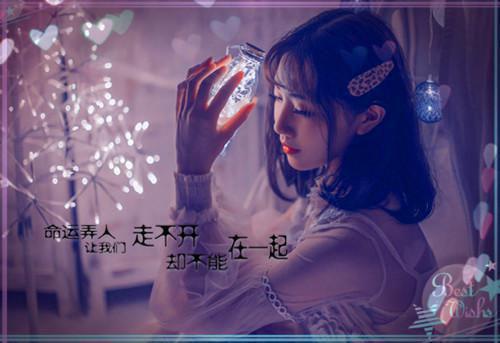 大学生社会实践报告的格式