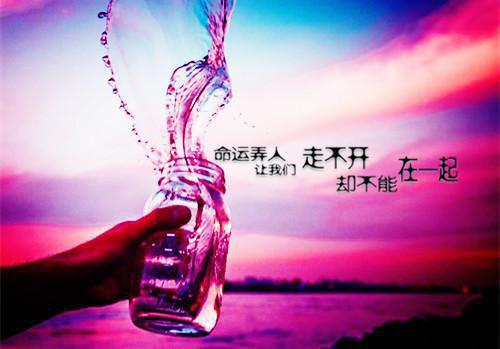 元旦的诗——《田家元日》