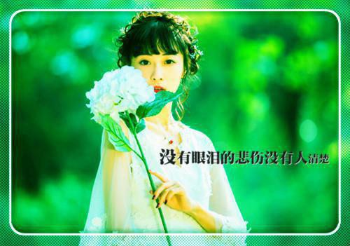 追亡事、今不见，但山川满目泪沾衣。
