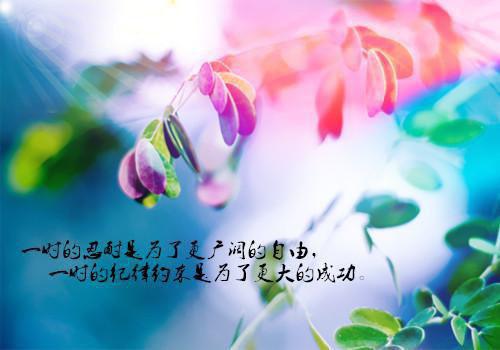 环保行政执法责任制落实情况的自查报告范文