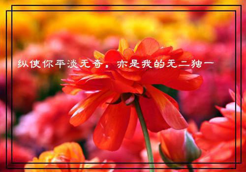 新店开业邀请函范文_新店开业请柬格式范文