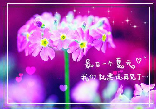 应聘外贸业务员的英文自荐信