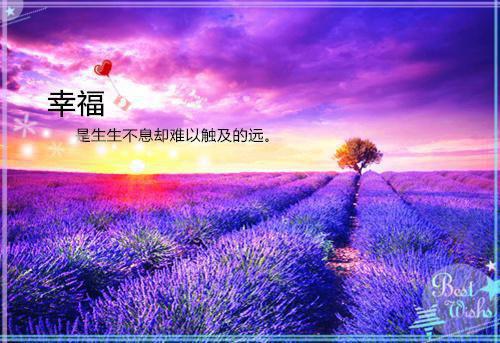 【精华】给母校感谢信三篇
