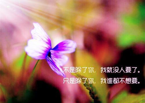 财政自我介绍信模板范文