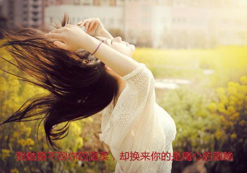 空中乘务员工作报告范文