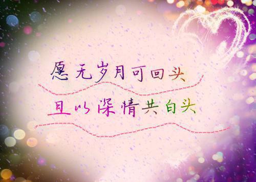财政局实习日记范例