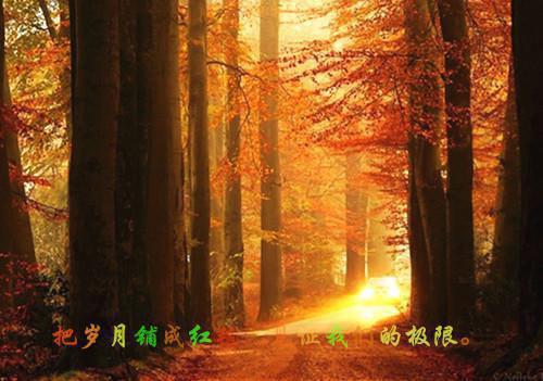 跳槽求职信范文10篇