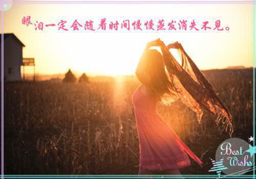 社会治安综合治理工作自查自评报告范文