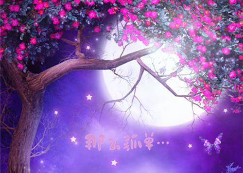 创业成功故事以及案例