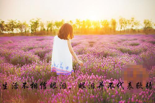 文秘与办公室自动化专业求职信范文