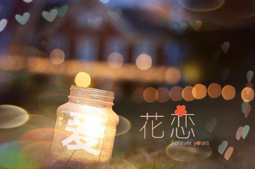 紫云英种植情况自查报告