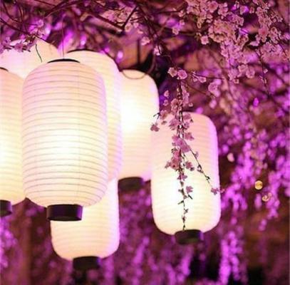 孩子道歉信模板5篇最新