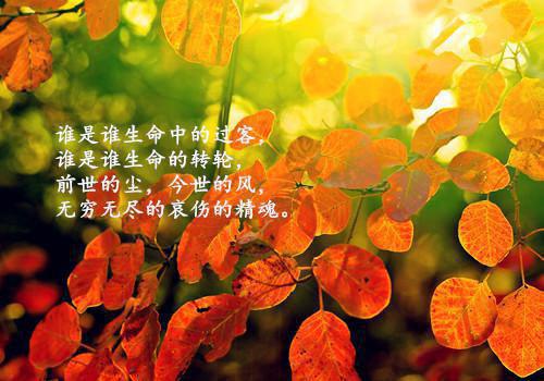 2023乡镇专项保密检查工作自查报告