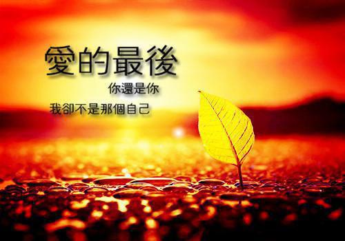 经典情书集锦