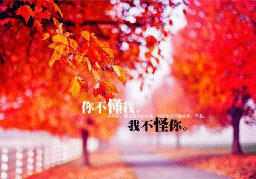 乘务员的表扬信范文三篇