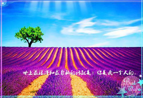 致教育局的感谢信