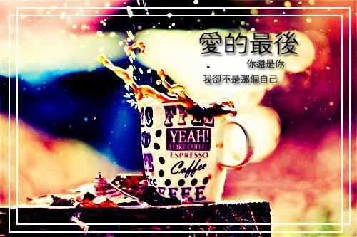 旅游管理求职信