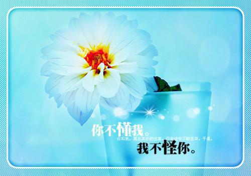 食品卫生自查报告