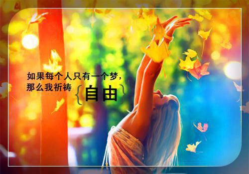 公司财务管理工作自查报告