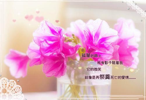 关于开展清理整治机关事业单位 “吃空饷”问题自查自纠情况的报
