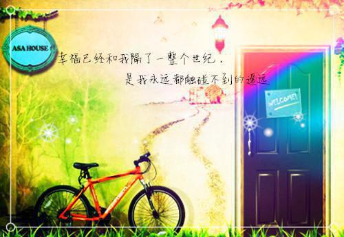 信用社主任年度述职报告