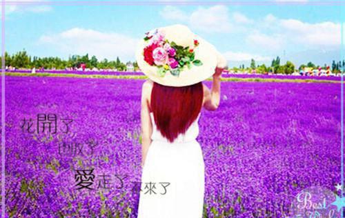 技改资金自查报告范本