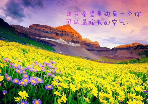 求职信范文物流 毕业生