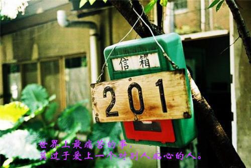 工程投标邀请函汇总八篇