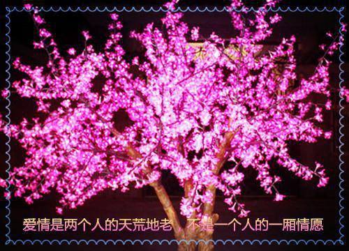 中学教师师德师风自查报告范文2023