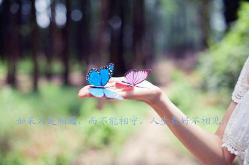 最新的英语教师求职信范文