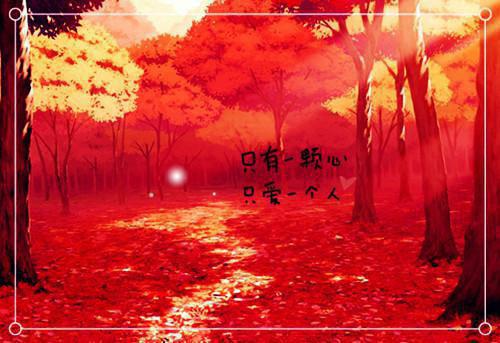 代表成功意思的花什么花代表成功