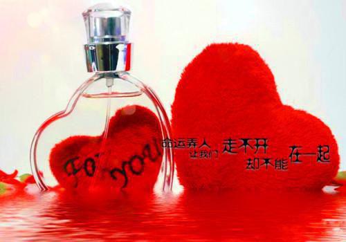 关于幼师求职信范文锦集十篇