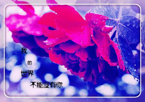 大学生寒假社会实践报告格式及范文