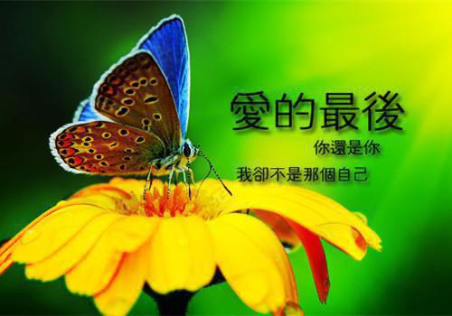军旅励志电影《蓝天下的雪莲》