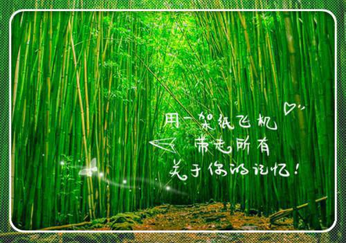 和成功有关的书籍
