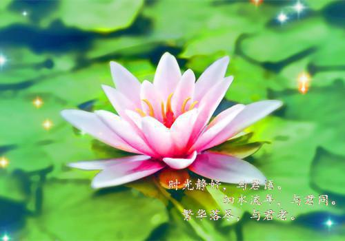 营造风清气正的发展环境活动自查自纠报告