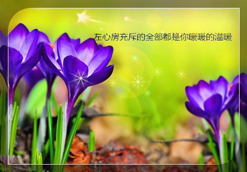 2023年内蒙古自治区政府工作报告全文