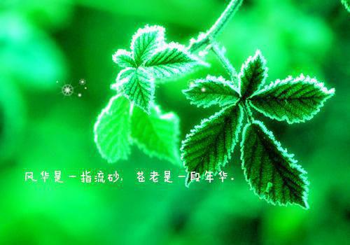 致律师的感谢信